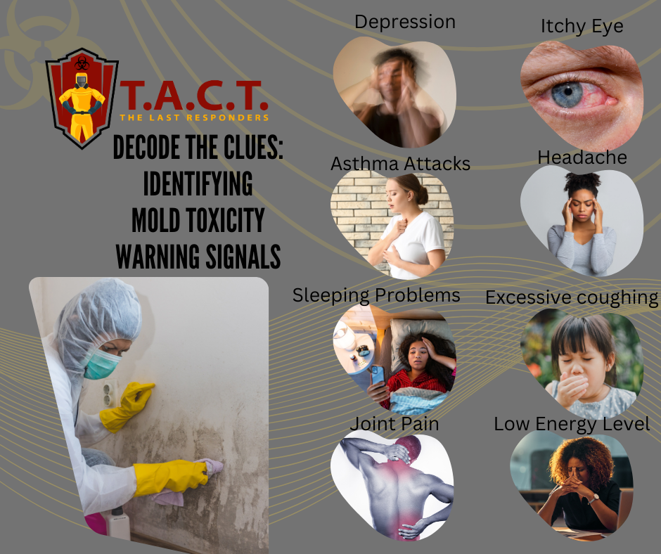 Battling Mold Toxicity: The Comprehensive Guide to Recognizing Warning Signs and Choosing T.A.C.T. Detroit