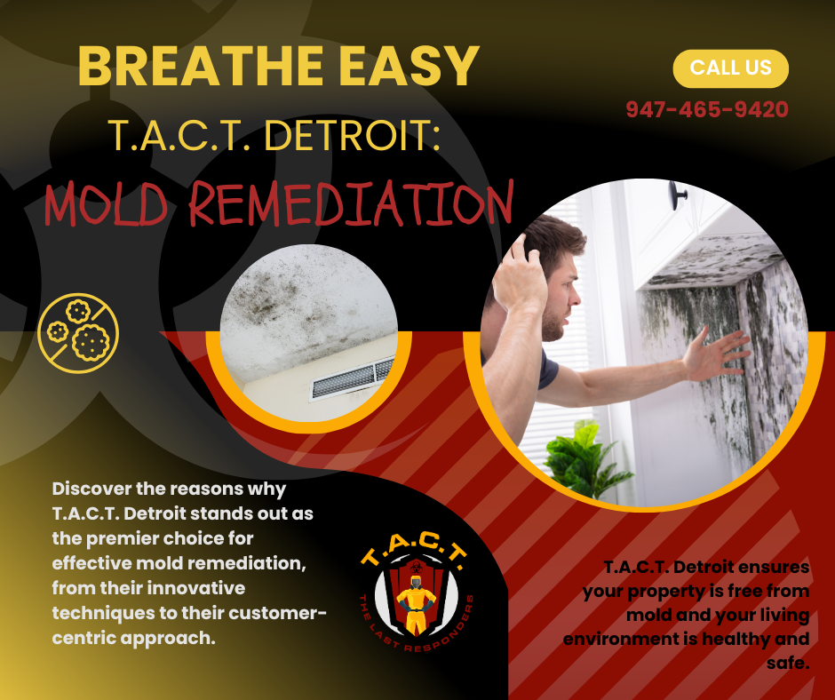 Breathe Easy with T.A.C.T. Detroit: Your Solution to Mold Problems