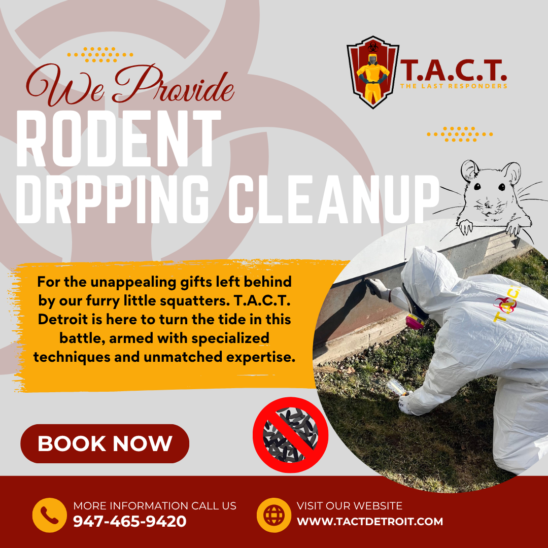 Expert Rodent Dropping Cleanup Services for a Healthy Home in Michigan