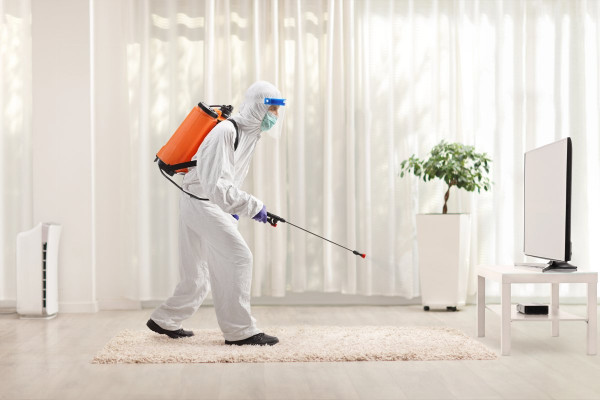 The Health Risks of Attempting DIY Biohazard Cleanup