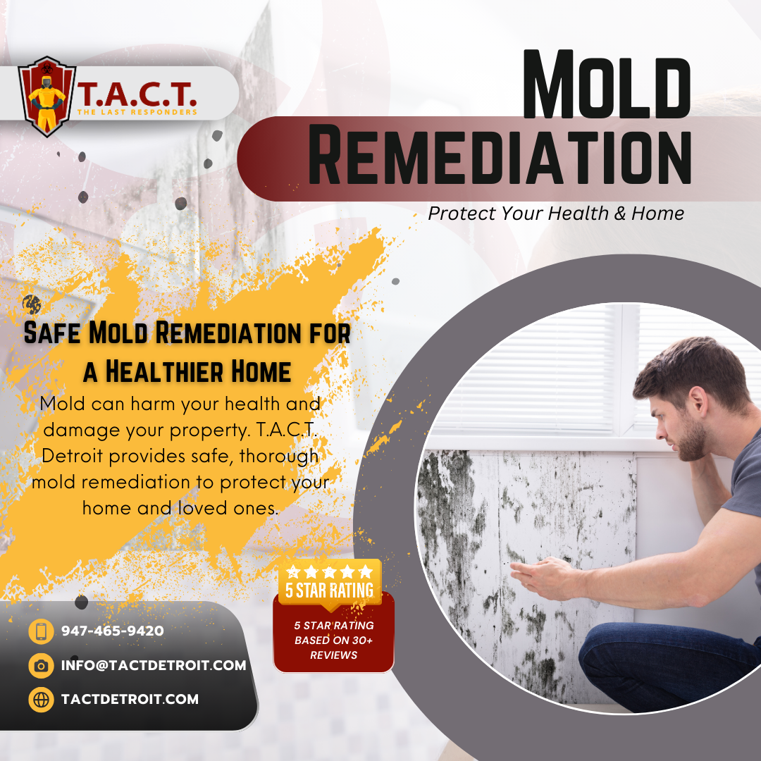 Mold Prevention and Removal: The T.A.C.T. Detroit Approach