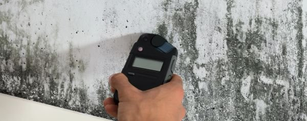 Mold Testing and Inspection in Sterling Heights, Troy, Novi, Detroit, Lansing, MI, and Surrounding Areas