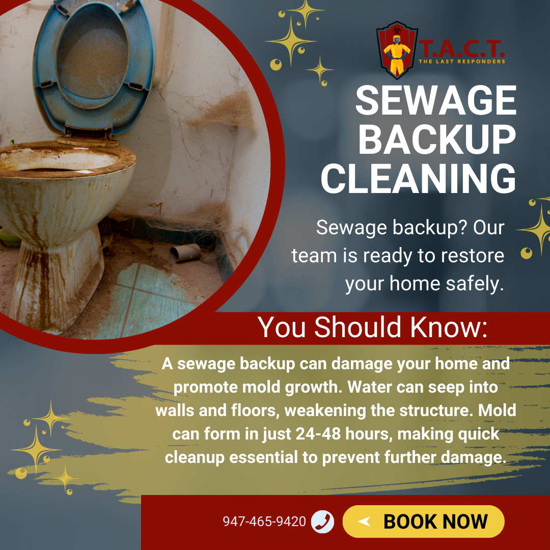 Protect Your Home with T.A.C.T. Detroit's Sewage Backup Cleaning Expertise