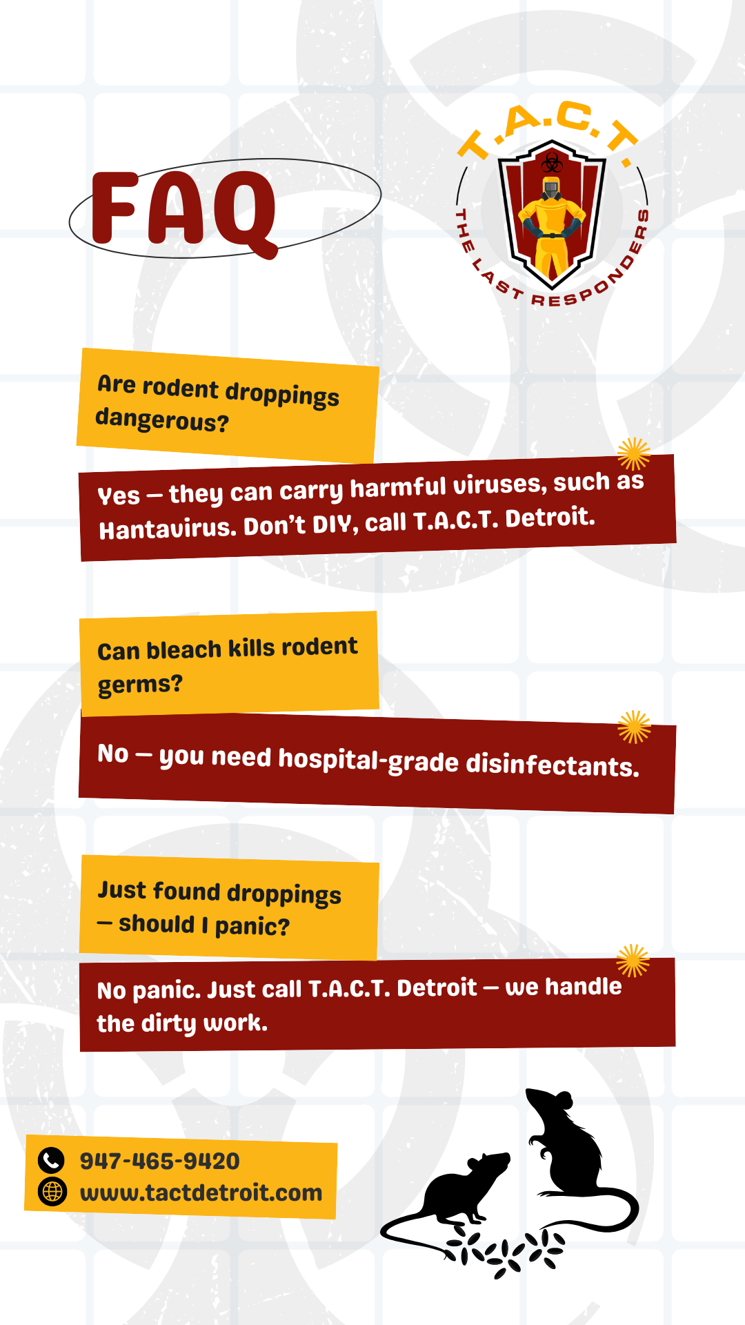 Rodent Dropping Cleaning 101: FAQs Answered by T.A.C.T. Detroit