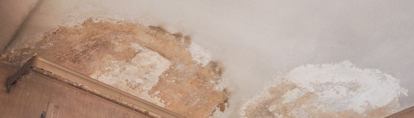 Water Damage Restoration & Mitigation in Detroit, Lansing, Novi, Sterling Heights, Troy, MI, and Surrounding Areas