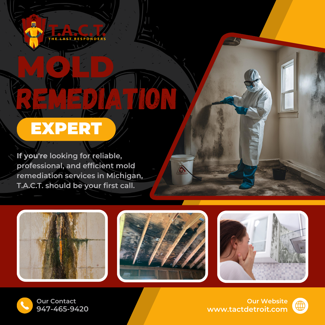 Why Call T.A.C.T. Detroit for Expert Mold Remediation Services