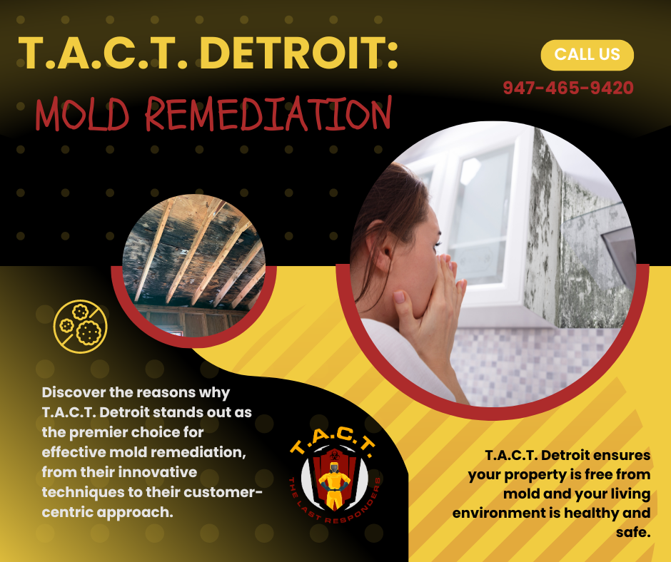 Why T.A.C.T. Detroit is Your Go-To for Mold Remediation